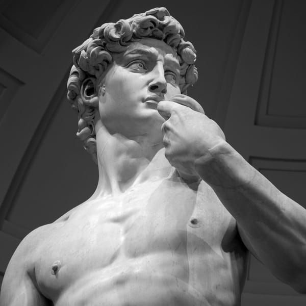 Picture of the bust of the David sculpture